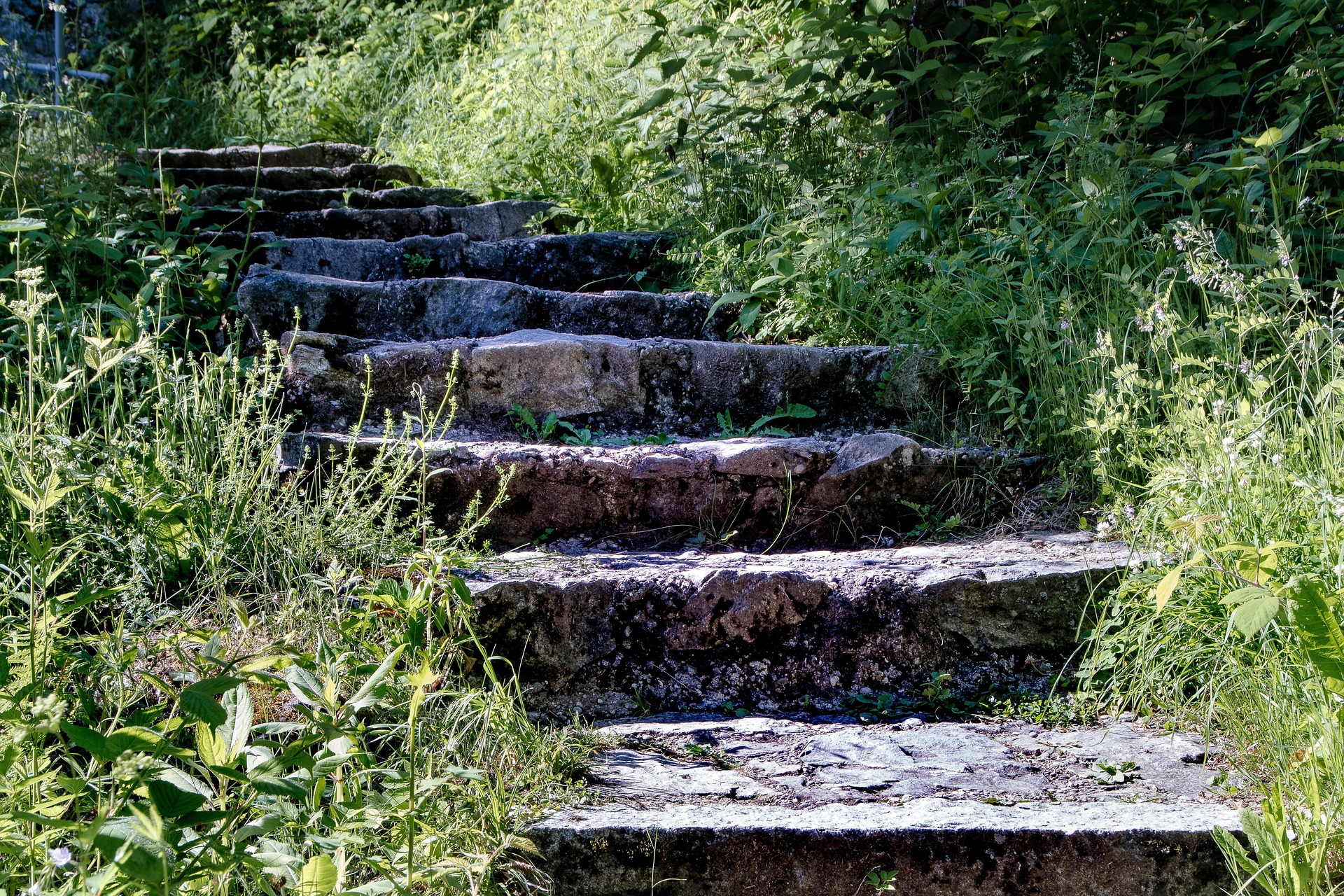 Projekt- und Changemanagement